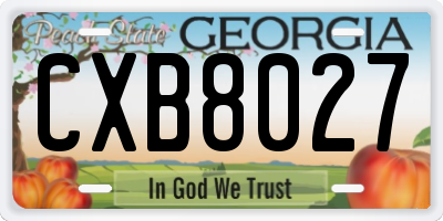 GA license plate CXB8027
