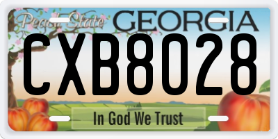 GA license plate CXB8028
