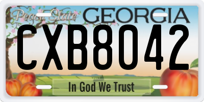 GA license plate CXB8042