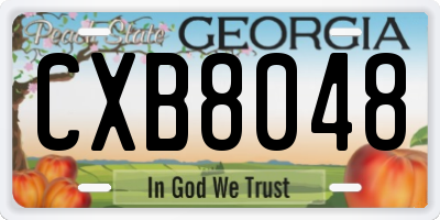 GA license plate CXB8048