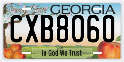 GA license plate CXB8060