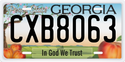 GA license plate CXB8063
