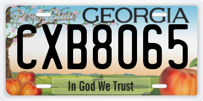 GA license plate CXB8065