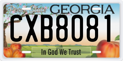 GA license plate CXB8081
