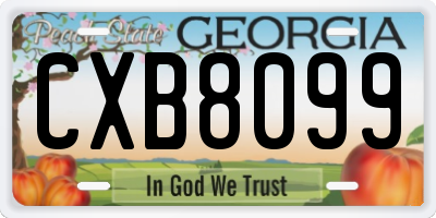 GA license plate CXB8099