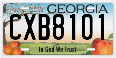 GA license plate CXB8101
