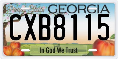 GA license plate CXB8115