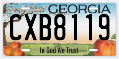 GA license plate CXB8119