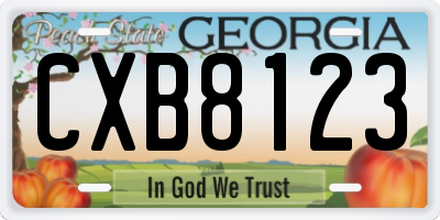 GA license plate CXB8123