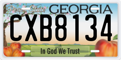 GA license plate CXB8134