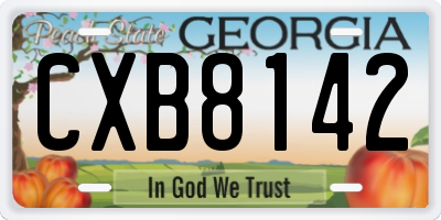 GA license plate CXB8142