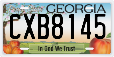 GA license plate CXB8145
