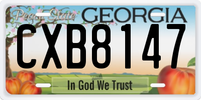 GA license plate CXB8147