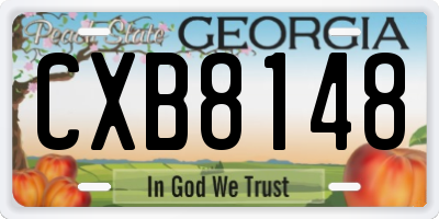GA license plate CXB8148