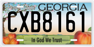 GA license plate CXB8161