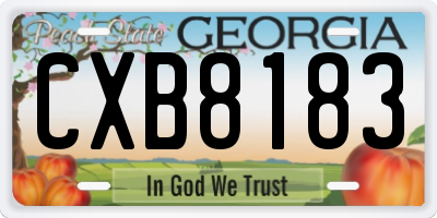 GA license plate CXB8183