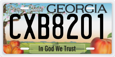 GA license plate CXB8201