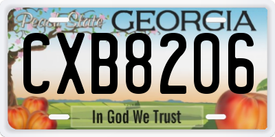 GA license plate CXB8206