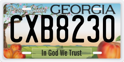 GA license plate CXB8230