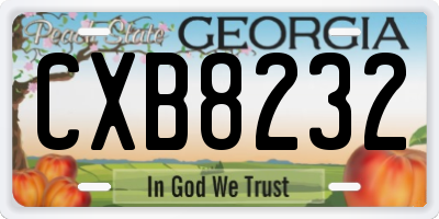 GA license plate CXB8232