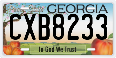 GA license plate CXB8233