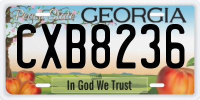 GA license plate CXB8236