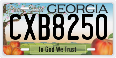 GA license plate CXB8250