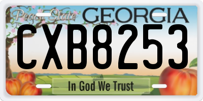 GA license plate CXB8253