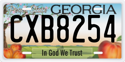 GA license plate CXB8254