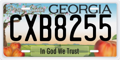 GA license plate CXB8255