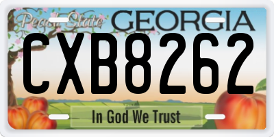 GA license plate CXB8262