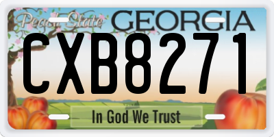 GA license plate CXB8271