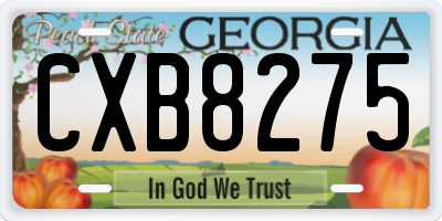 GA license plate CXB8275