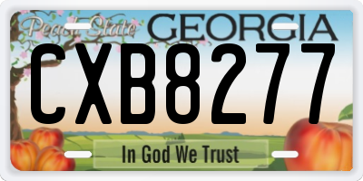 GA license plate CXB8277