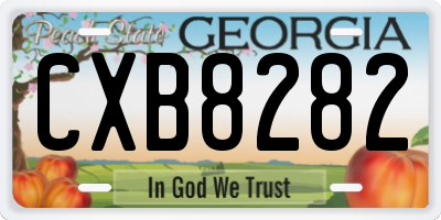 GA license plate CXB8282