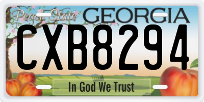 GA license plate CXB8294