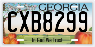 GA license plate CXB8299
