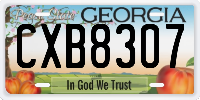 GA license plate CXB8307