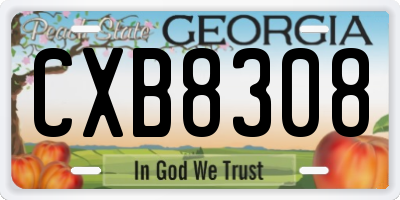 GA license plate CXB8308