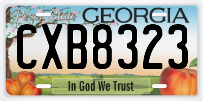 GA license plate CXB8323