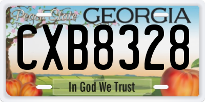 GA license plate CXB8328