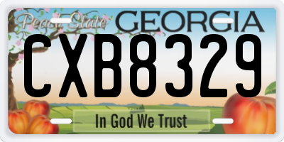 GA license plate CXB8329