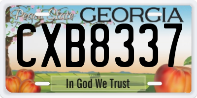 GA license plate CXB8337