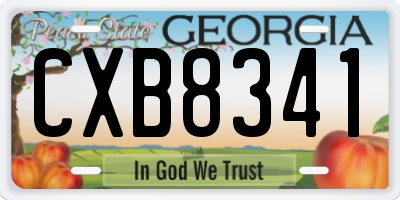 GA license plate CXB8341