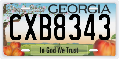GA license plate CXB8343