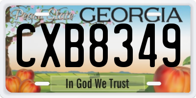 GA license plate CXB8349