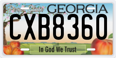 GA license plate CXB8360