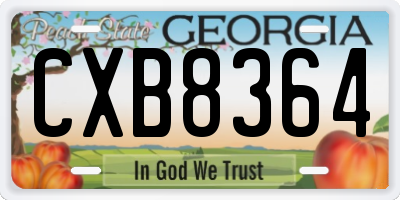 GA license plate CXB8364