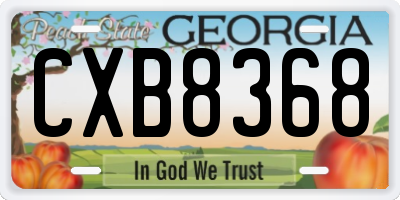 GA license plate CXB8368