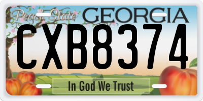 GA license plate CXB8374